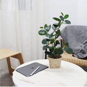 Elegant Green Potted faux Plant for Home Decor